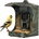Evolveo StrongVision BirdFeeder