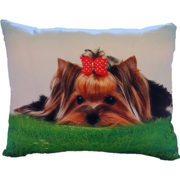 LKV Lomnice Povlak s polštářem Jorkšír 46x36