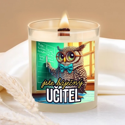 Ahome Báječný učitel 450 g