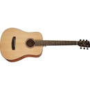 Cort Earth Mini