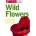Wild Flowers
