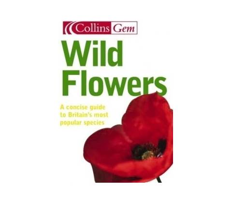 Wild Flowers