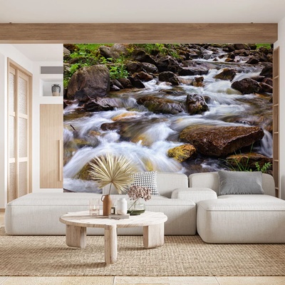 Art Gift Decor Фототапет - Горска река