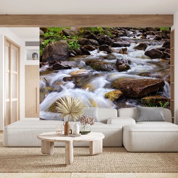 Image 1 of Art Gift Decor Фототапет - Горска река