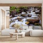 Art Gift Decor Фототапет - Горска река