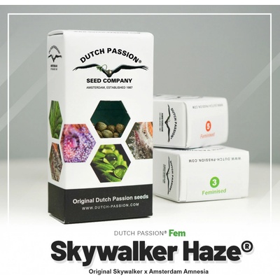 Dutch Passion Skywalker Haze semienka neobsahujú THC 3 ks