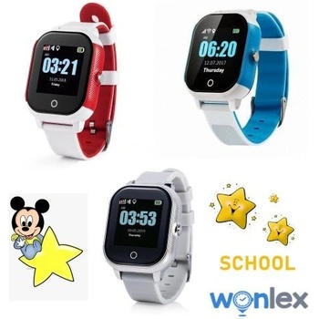 WONLEX GW100