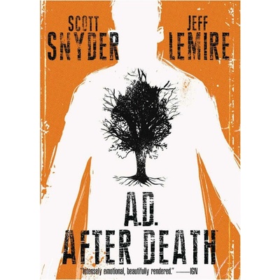AD After Death Scott Snyder, Jeff Lemire Hardcover