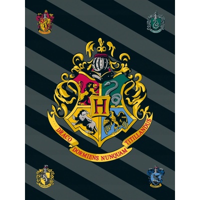 JERRY FABRICS Fleece deka Harry Potter sivé pruhy