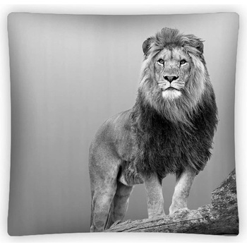 Detexpol Lev 40 x 40 cm