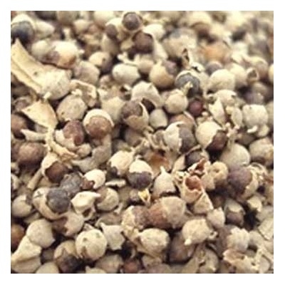World Herbs Drmek obecný plod 1000 g