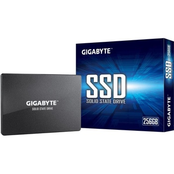 GIGABYTE 2.5 256GB SATA3 (GP-GSTFS31256GTND)