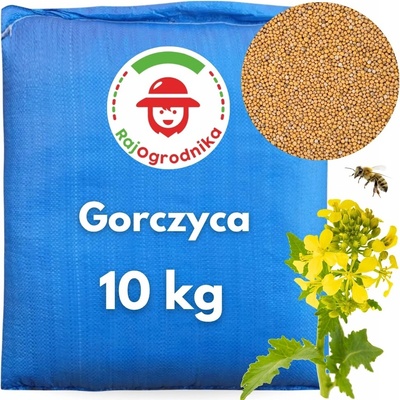 Semena hořčice RajOgrodnika na meziplodina tradiční 10 kg