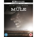 Mule. The BD