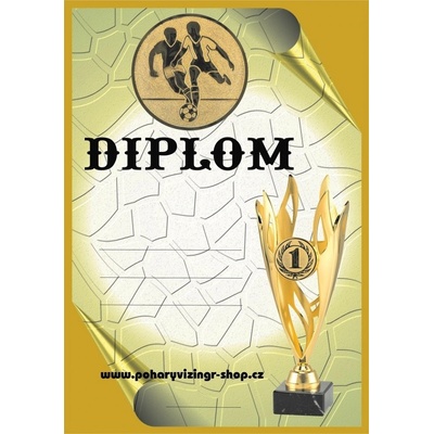 VIZINGR Fotbal diplom A4 č.50