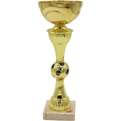 2170 Pohár zlatý fotbal