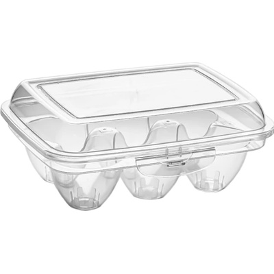PLASTIC FORTE Dóza na 6 ks vajec transparentná 17,5 x 13 x 7 cm
