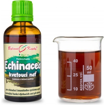 Bylinné kapky Echinacea echinacea kvitnúca vňať bylinné kvapky tinktúra 50 ml