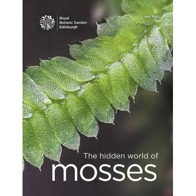 Hidden World of Mosses | Neil Bell