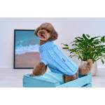 Freedog Jersey Nature- пуловер за куче