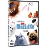 MagicBox Сами вкъщи - dvd (015482)