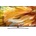 LG 65QNED913PA