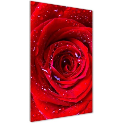 Vertikálny foto obraz sklenený Červená ruža 50x100 cm