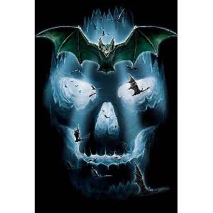 3spotstshirts Scull 09