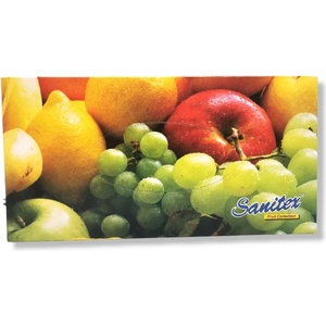  Sanitex салфетки в кутия, 2 пласта, Бели, Плодове, 100 броя