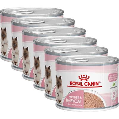 Royal Canin Babycat Instinctive консерва за кърмещи котки и котенца 6 x 195 гр