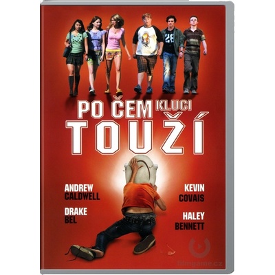 Po čem kluci touží DVD