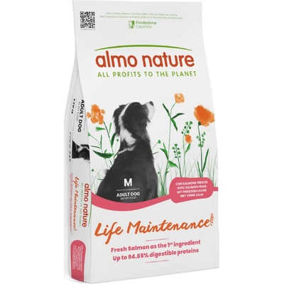 Almo Nature Adult Medium Salmon & Rice 2 x 12 kg