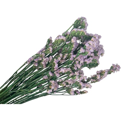 Stabilizované kvety Statice Limonium sinuata 120g - svetlé fialové