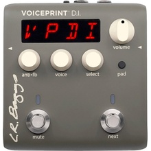 L.R. Baggs Voiceprint DI