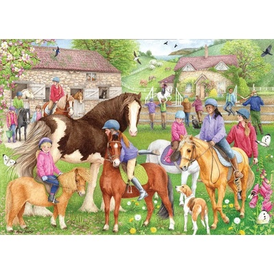 Falcon - Puzzle Davison: Riding School - 1 000 piese