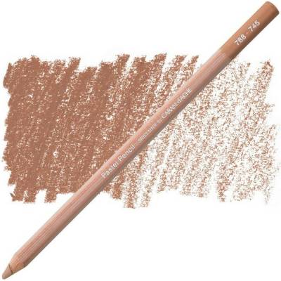 Caran d´Ache suchý pastel v tužce 745 dark flesh