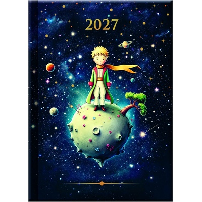 Praktik A6 denní 2027 PRINC