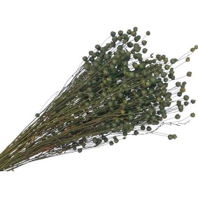 Sušený ľan - kytica cca 100g - machovo zelený