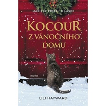Kocour z vánočního domu