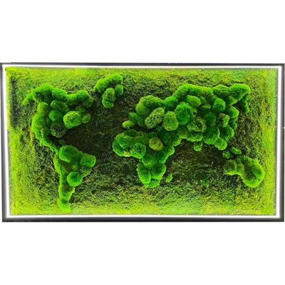 Machový obraz Mapa sveta s Plochy a Guľatý mach a podsvietením