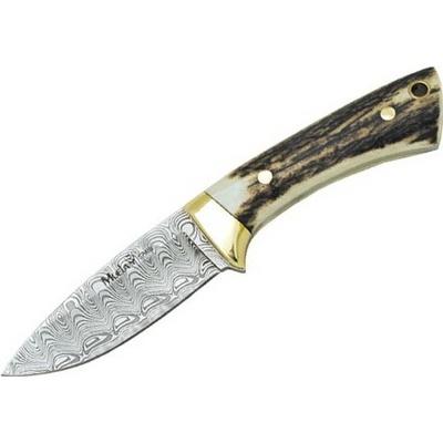 Muela Colibri Stag COL-7DAM