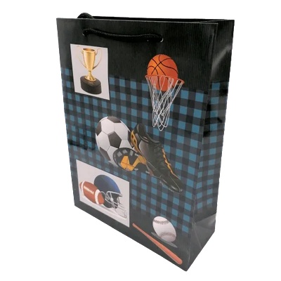 Cangnan Color Bag Co. , Ltd Подаръчни торбички 24 х 18 х 7 см. М13-035