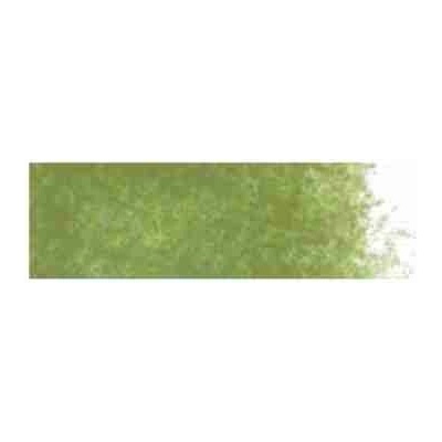 Renesans art pastel suchý 92 sap green