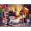 Trefl - Puzzle Cat´s Evening - 2 000 piese