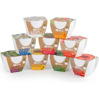 Image 1 of Radis et Capucine Бяла саксия БИО Слънчоглед (029654)