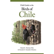 Field Guide to the Birds of Chile