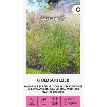 Image 1 of Seklos Декоративна трева Goldschleier Deschampsia caespitos