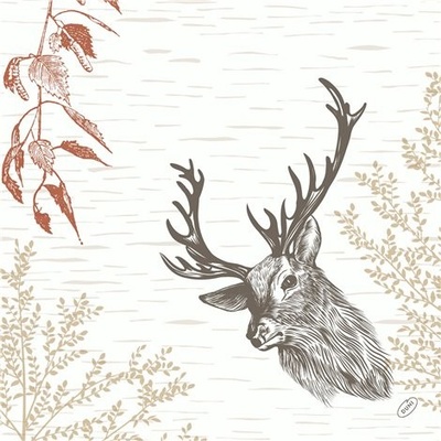 BioDunisoft Ubrousek WOOD & DEER 100031779 40x40cm 60ks