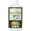Organics Nutrients BIG start 1 l