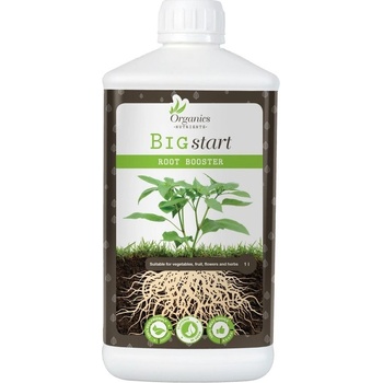 Organics Nutrients BIG start 1 l